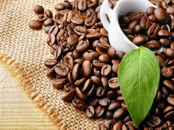 Tổng hợp mẹo nhận biết cà phê sạch dành cho tín đồ yêu cafe