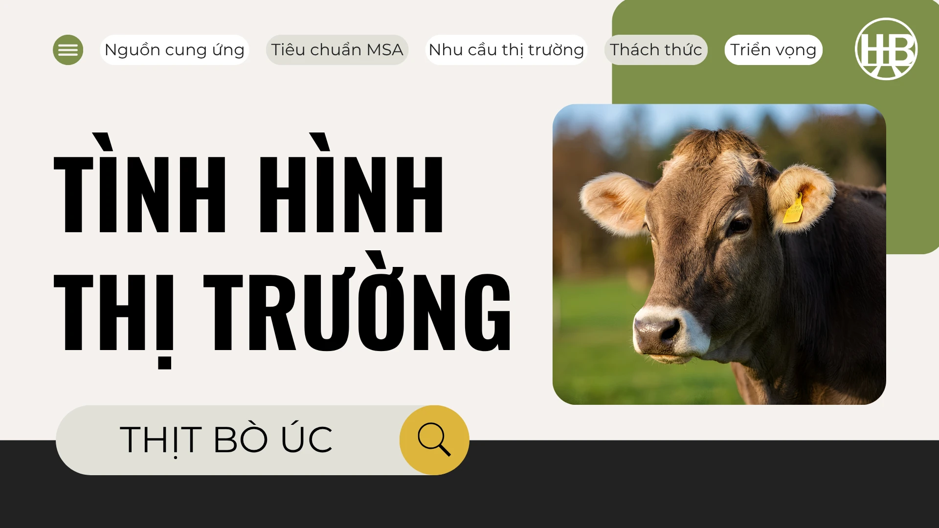 TOÀN CẢNH THỊ TRƯỜNG THỊT BÒ ÚC 2026: XU HƯỚNG VÀ CƠ HỘI CHO DOANH NGHIỆP F&B