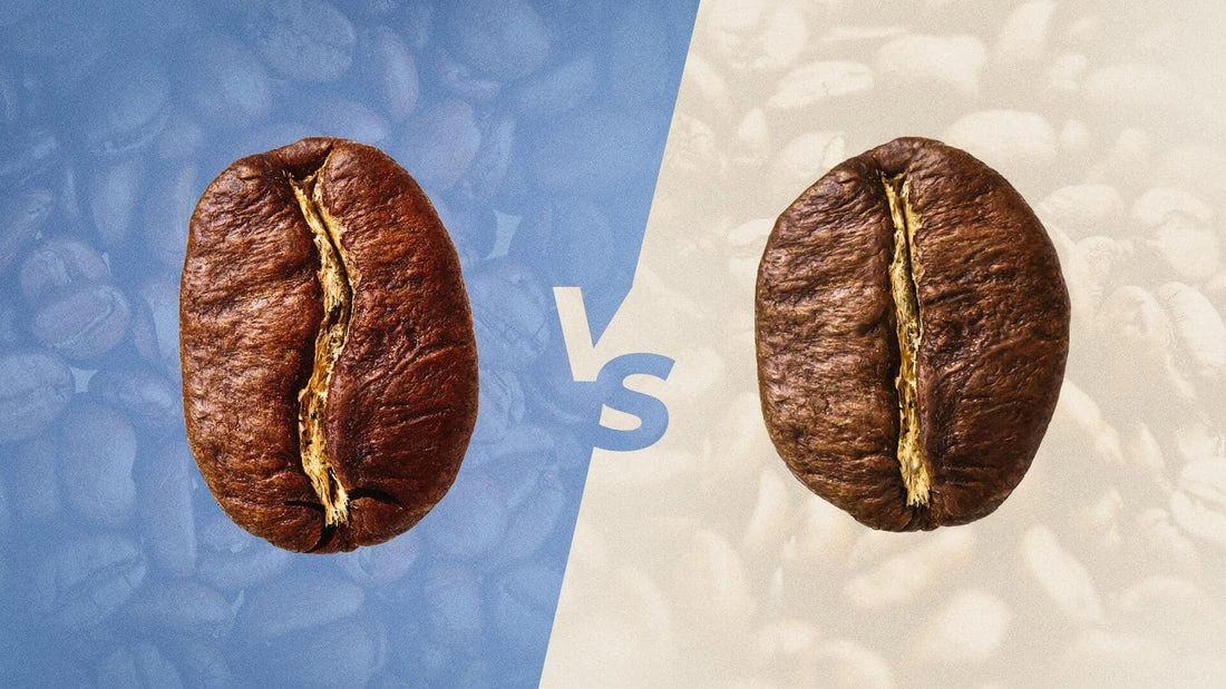 Robusta và Arabica - Cuộc so tài của hai “ông lớn” trong thế giới cà phê: Vì sao Robusta là lựa chọn tối ưu cho bạn?